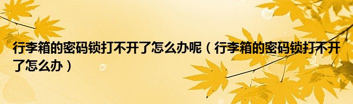 行李箱的密码锁打不开了怎么办呢（行李箱的密码锁打不开了怎么办）