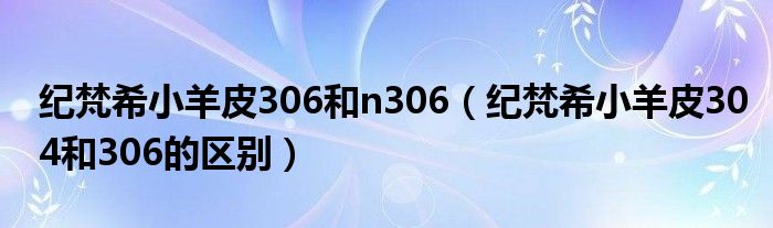 纪梵希小羊皮306和n306（纪梵希小羊皮304和306的区别）