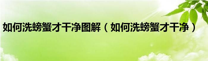 如何洗螃蟹才干净图解（如何洗螃蟹才干净）