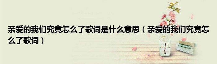 亲爱的我们究竟怎么了歌词是什么意思（亲爱的我们究竟怎么了歌词）