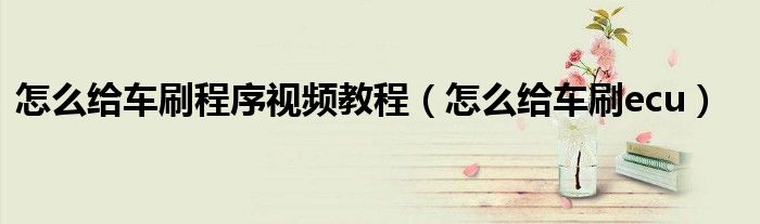 怎么给车刷程序视频教程（怎么给车刷ecu）