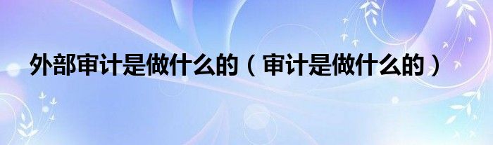 外部审计是做什么的（审计是做什么的）