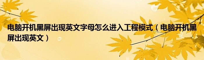 电脑开机黑屏出现英文字母怎么进入工程模式（电脑开机黑屏出现英文）