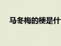 马冬梅的梗是什么意思（马冬梅什么梗）