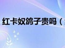 红卡奴鸽子贵吗（红卡奴鸽子怎样辨认公母）