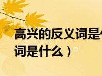 高兴的反义词是什么 标准答案（高兴的反义词是什么）
