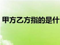 甲方乙方指的是什么（甲方乙方是什么意思）