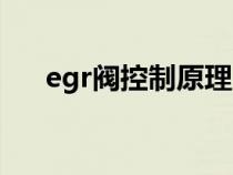 egr阀控制原理（egr阀的原理是什么）