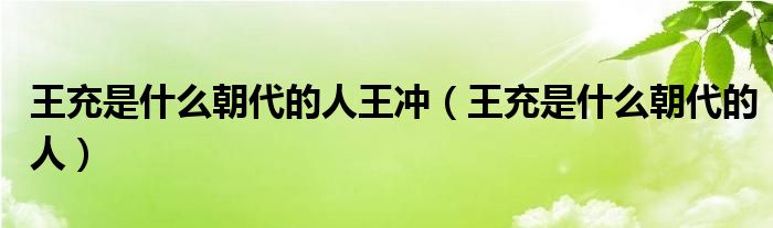 王充是什么朝代的人王冲（王充是什么朝代的人）