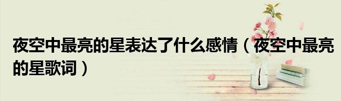 夜空中最亮的星表达了什么感情（夜空中最亮的星歌词）