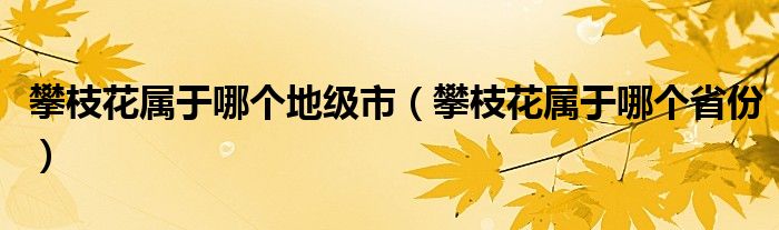 攀枝花属于哪个地级市（攀枝花属于哪个省份）