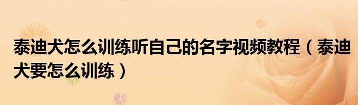 泰迪犬怎么训练听自己的名字视频教程（泰迪犬要怎么训练）