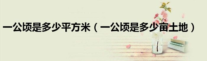 一公顷是多少平方米（一公顷是多少亩土地）