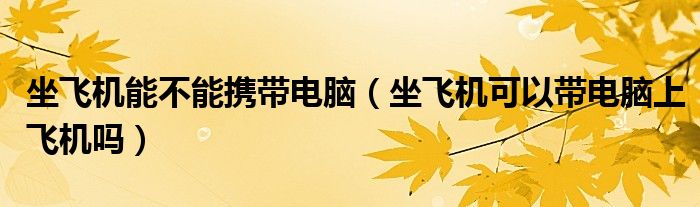 坐飞机能不能携带电脑（坐飞机可以带电脑上飞机吗）