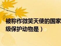 被称作微笑天使的国家一级保护动物（被称为微笑天使的一级保护动物是）