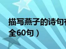 描写燕子的诗句有什么?（描写燕子的诗句大全60句）