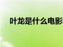 叶龙是什么电影的人物（叶龙电影介绍）