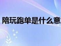 陪玩跑单是什么意思啊（跑单是什么意思啊）