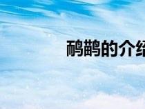 鸸鹋的介绍（龃龉简单介绍）