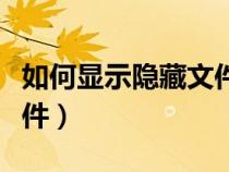 如何显示隐藏文件的扩展名（如何显示隐藏文件）