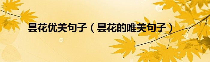 昙花优美句子（昙花的唯美句子）
