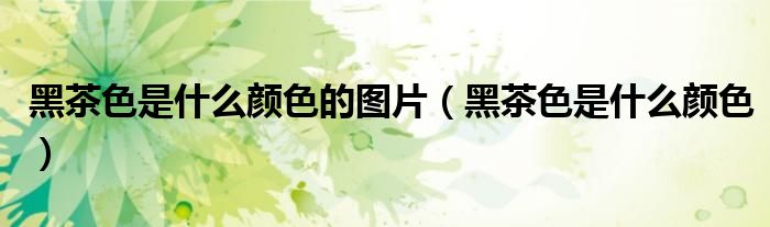 黑茶色是什么颜色的图片（黑茶色是什么颜色）