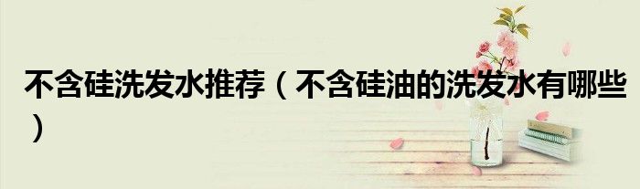 不含硅洗发水推荐（不含硅油的洗发水有哪些）