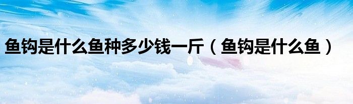 鱼钩是什么鱼种多少钱一斤（鱼钩是什么鱼）