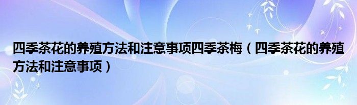 四季茶花的养殖方法和注意事项四季茶梅（四季茶花的养殖方法和注意事项）