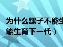 为什么骡子不能生育后代生物（骡子为什么不能生育下一代）