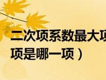 二次项系数最大项的系数（二次项系数最大的项是哪一项）