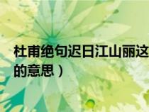 杜甫绝句迟日江山丽这首诗的意思（绝句迟日江山丽这首诗的意思）