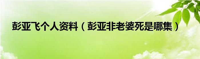彭亚飞个人资料（彭亚非老婆死是哪集）