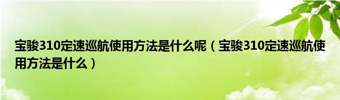 宝骏310定速巡航使用方法是什么呢（宝骏310定速巡航使用方法是什么）