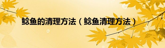 鲶鱼的清理方法（鲶鱼清理方法）
