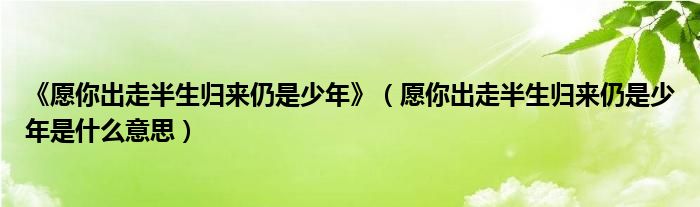 《愿你出走半生归来仍是少年》（愿你出走半生归来仍是少年是什么意思）