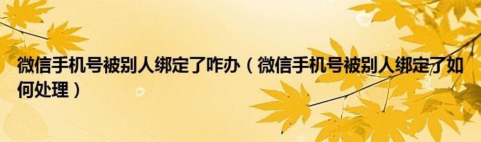 微信手机号被别人绑定了咋办（微信手机号被别人绑定了如何处理）