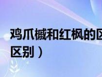 鸡爪槭和红枫的区别是什么（鸡爪槭和红枫的区别）