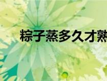 粽子蒸多久才熟?（粽子要蒸多久才熟）
