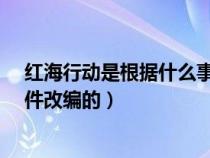 红海行动是根据什么事件改编的?（红海行动是根据什么事件改编的）