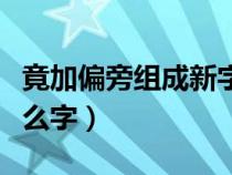 竟加偏旁组成新字再组词（竟加偏旁能组成什么字）