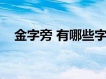 金字旁 有哪些字（金字旁具体有哪些字）