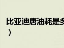 比亚迪唐油耗是多少（比亚迪唐的油耗为多少）