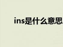 ins是什么意思中文翻译（ins是什么）