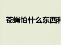 苍蝇怕什么东西和气味（苍蝇怕什么天敌）