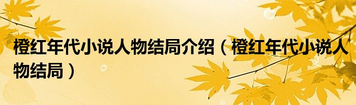 橙红年代小说人物结局介绍（橙红年代小说人物结局）