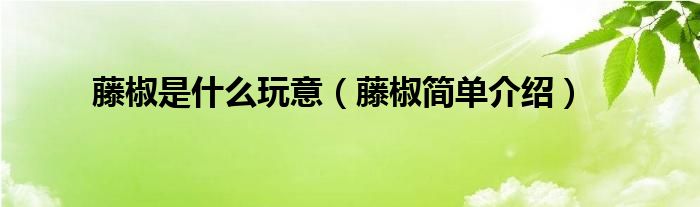 藤椒是什么玩意（藤椒简单介绍）