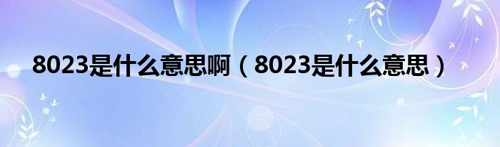 8023是什么意思啊（8023是什么意思）