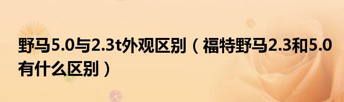 野马5.0与2.3t外观区别（福特野马2.3和5.0有什么区别）