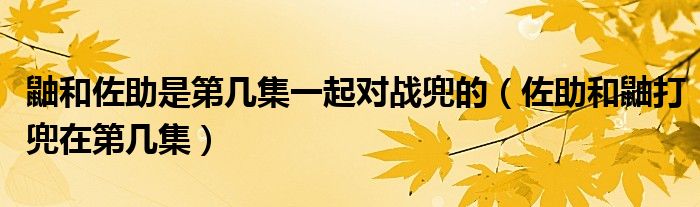 鼬和佐助是第几集一起对战兜的（佐助和鼬打兜在第几集）